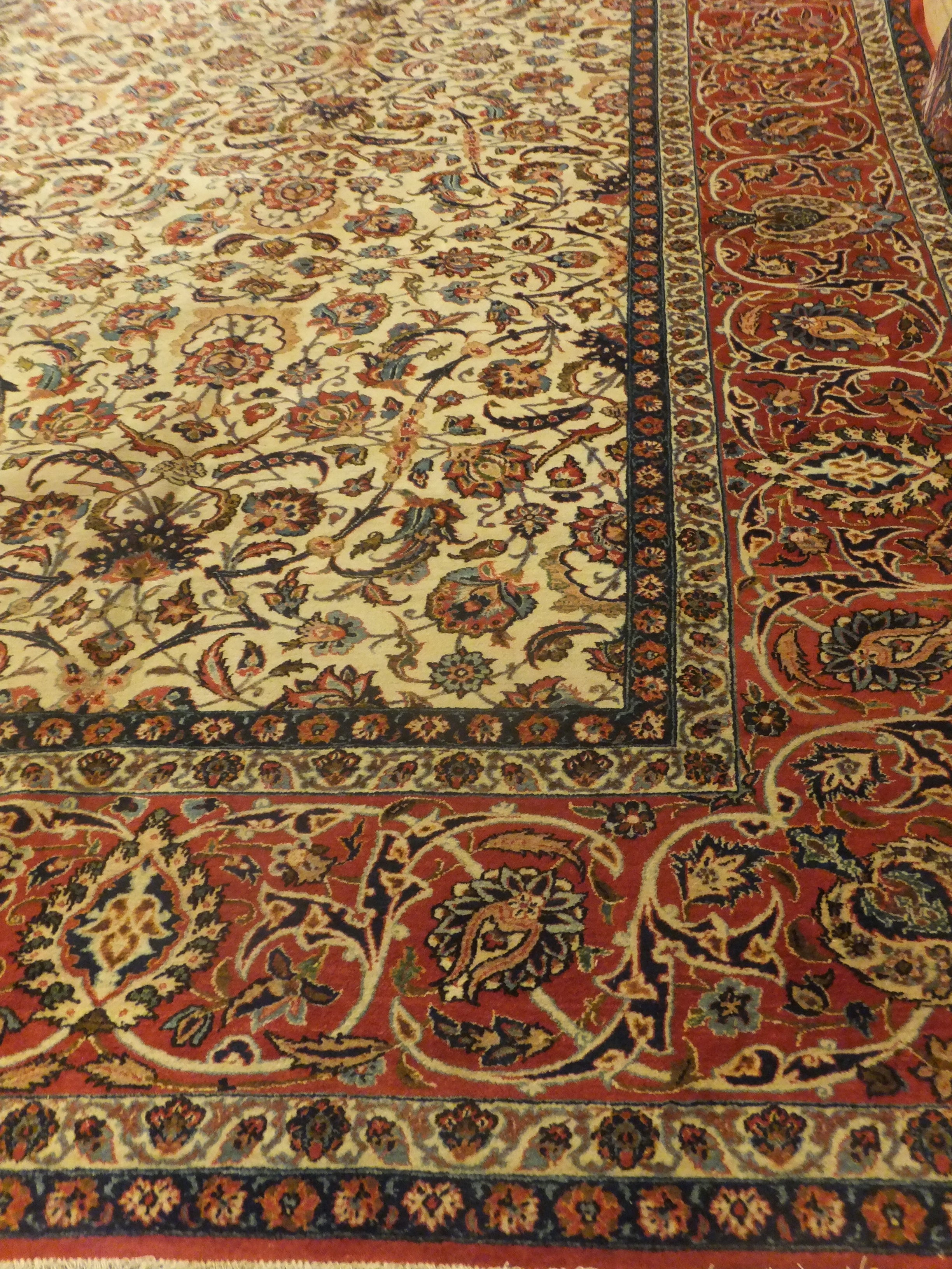 Rug image